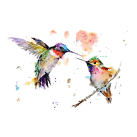 Watercolor Art Painting Drawing Hummingbird Download HQ PNG