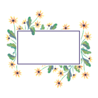 Chrysanthemum Frame Vector Flower Illustration PNG File HD