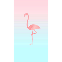 Flamingo Flamingos Iphone Wallpaper Desktop Free HQ Image