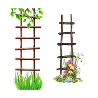 Ladder Flower Frame Albom Icon Free Download Image