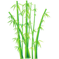 Bamboo Png File