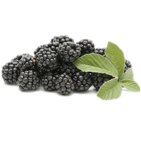 Blackberry Fruit Png Picture