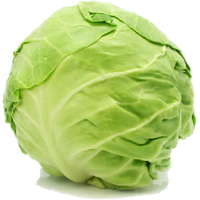 Cabbage Free Png Image