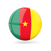 Cameroon Flag Png Picture