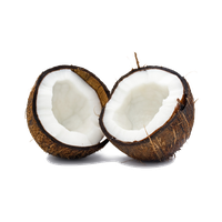 Coconut Free Png Image