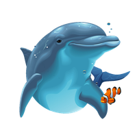 Dolphin Png Image