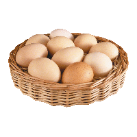 Egg Png