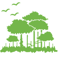 Environment Png Picture