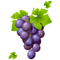 Grape Free Download Png