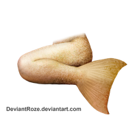 Mermaid Tail Png File