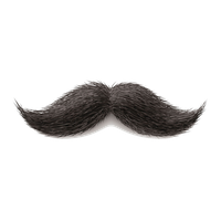 Moustache Png Image