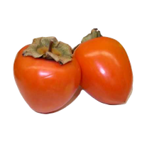 Persimmon Free Download Png