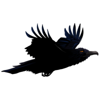 Raven Png Picture