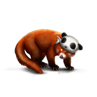 Red Panda Png Picture