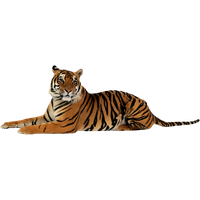 Tiger Png File