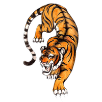 Tiger Tattoos Transparent