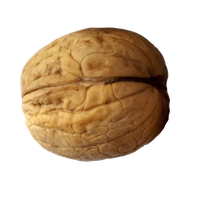 Walnut Png Picture