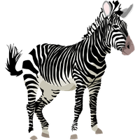 Zebra Png Clipart