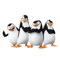 Kowalski Madagascar Penguins Skipper Film Penguin
