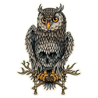 Owl School Old Skull Tattoo Flash (Tattoo)