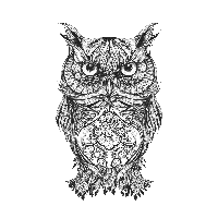 Body Owl Sketch Art Tattoo Drawing