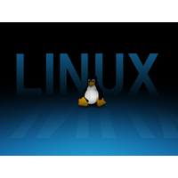 Tux Wallpaper Desktop Linux Resolution Display Penguin