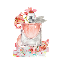 Painting Bottle Perfume Free Transparent Image HQ