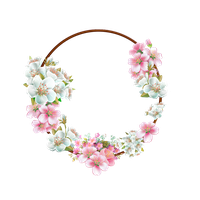 Picture Frame Flower Pic White Free Transparent Image HQ