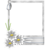 Picture Frame Flower White Transparent Free Photo PNG