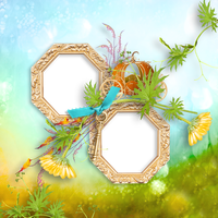 Picture Frame Flower Creative Icon Download Free Image