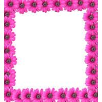Pink Picture Frame Flower Free HD Image