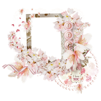 Pink Picture Frame Flower Photography Free PNG HQ