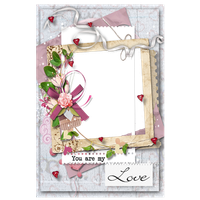 Picture Flower Love Package Frame Application Digital