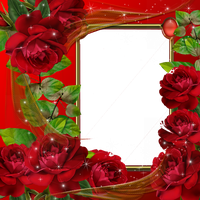 Picture Flower Frame Pic Application Editor Red