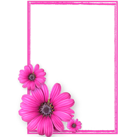 Pink Picture Flower Frame Photos8 Flowers