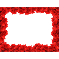 Picture Frame Flower Red Rose PNG File HD