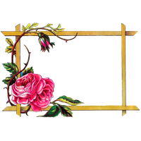 Frames Picture Frame Flower Art Free Photo PNG