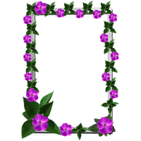 Frames Picture Frame Flower HD Image Free PNG