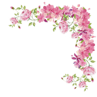 Pink Rose Flowers Border Flower Free Photo PNG