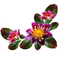 Flower Portable Computer File Graphics Network