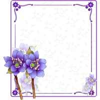 Purple Color Photography Flower Frame Free Download PNG HD