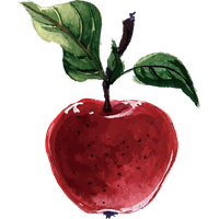 Plant-Based Illustrator Apple Packs Diet Vector Adobe
