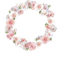 Flower Rose Illustration Euclidean Vector Circle Border