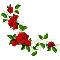 Rose Frame Flower Pic Red PNG File HD