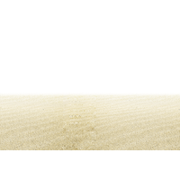 Euclidean Vector Beach Sandy PNG Image High Quality