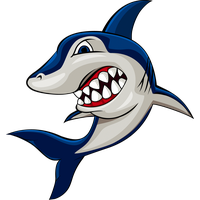 Shark Photography Cartoon Stock Free HQ Image