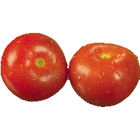 Tomato Png Image