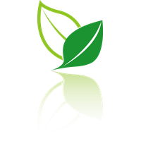 Leaf Tea Ideas Environmental Vector Design Logo