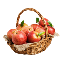 Of Photography Apples Basket The With Filled