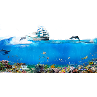 Underwater Wallpaper Sailing Singapore Dolphin World Android